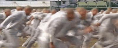 两水獭家族打群架,两个水獭家族之间的战争完整版