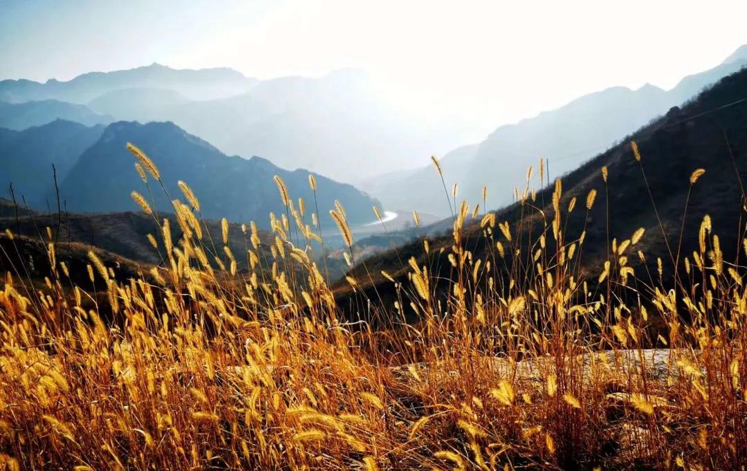 保定有一个县叫什么县,保定涞源免费好去处