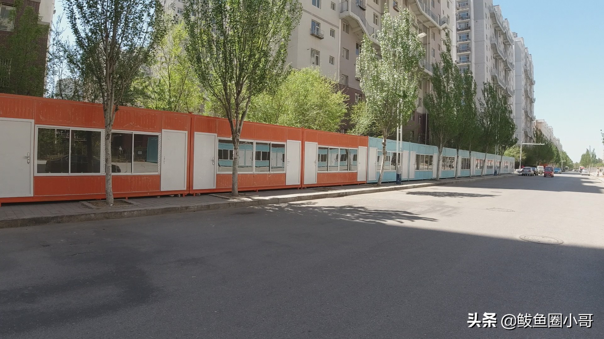 番茄小市场,鲅鱼圈番茄小市场门口让摆摊吗