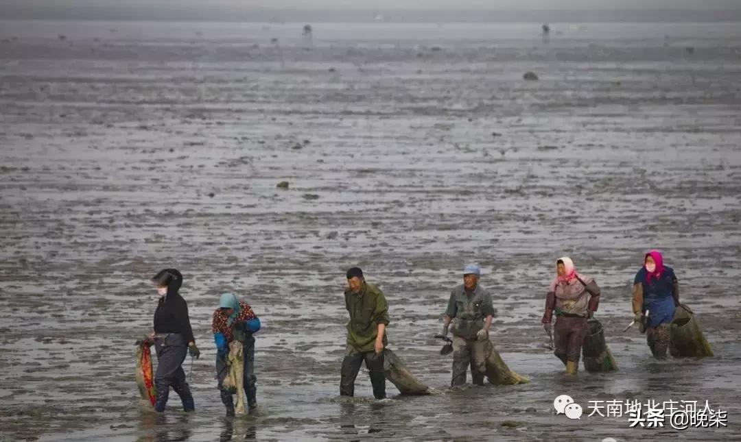 大连庄河赶海排名第一名,庄河赶海网红视频