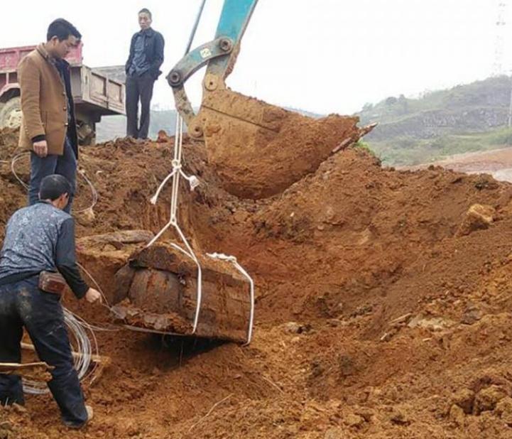 坟前有枯树必须迁坟吗,坟前枯树须迁坟