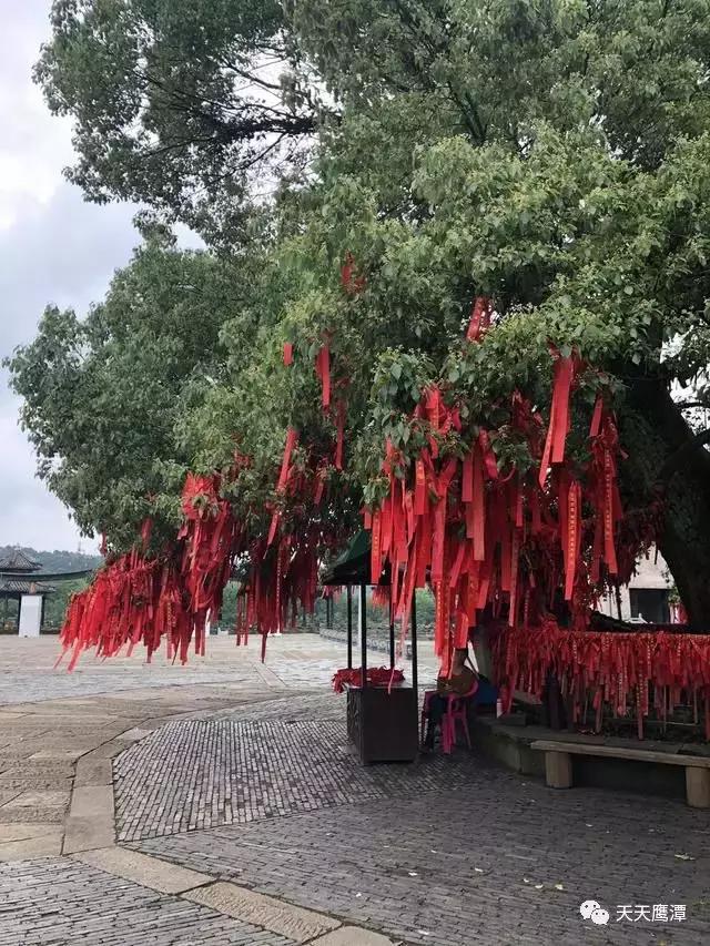 鹰潭和龙虎山道教,鹰潭龙虎山道教发源地