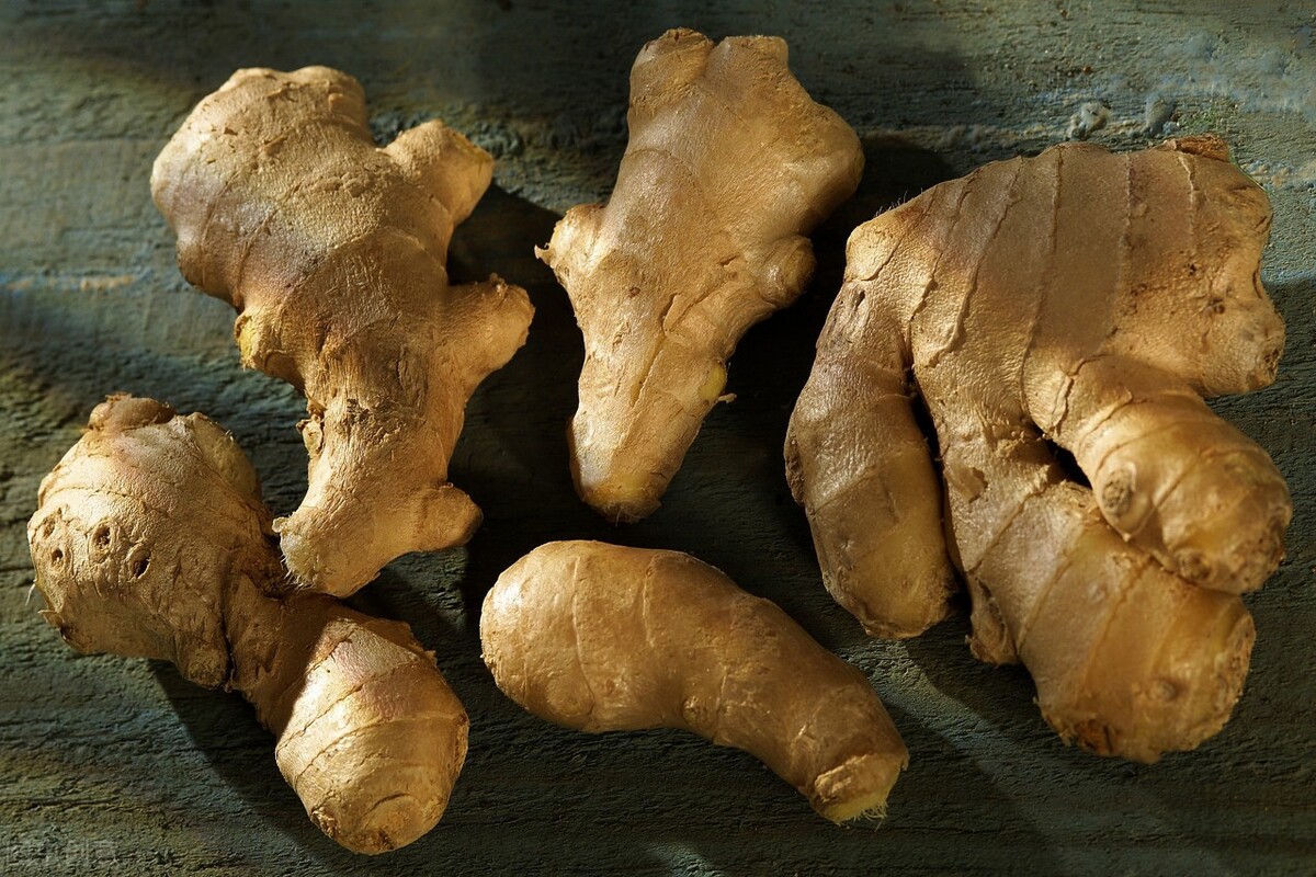 药师处方讲解,药师蠲痹剂讲解视频