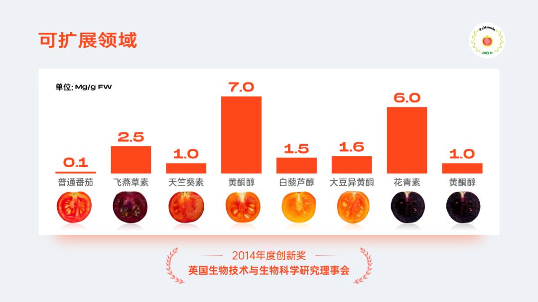 当西红柿遇上烦人的橙子,当番茄遇上西红柿视频