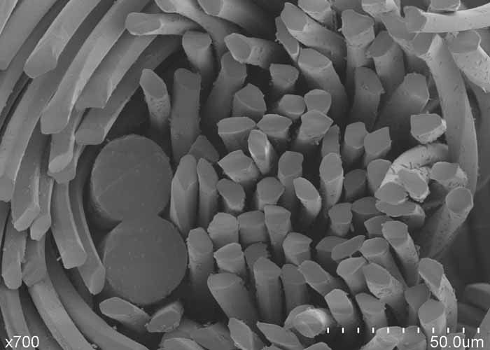 优衣库有口罩吗,优衣库口罩最新报道
