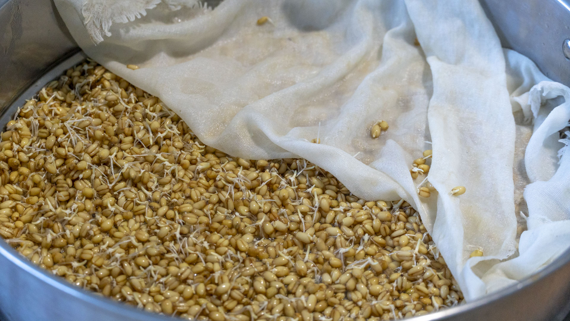 我家从来不买零食原创,低筋面粉做100种简单零食烤箱