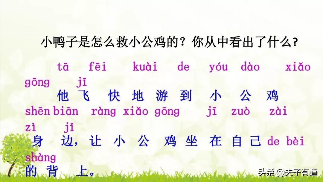 一年级下小公鸡和小鸭子看图写话,一年级下册小公鸡和小鸭子第五课