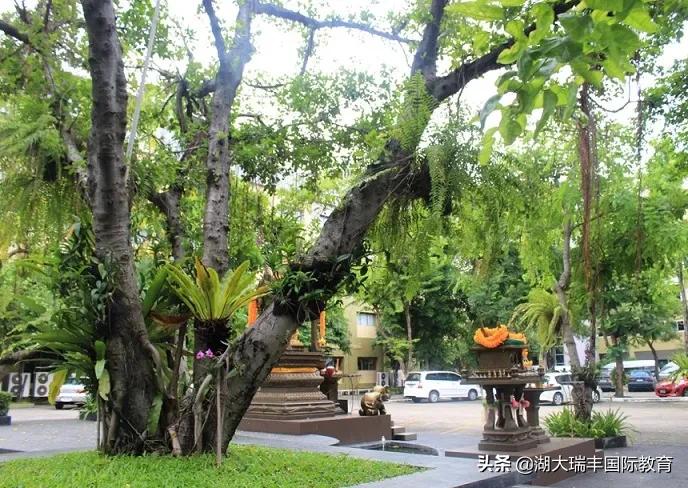 激情点燃梦想,艺术照亮人生——格乐大学艺术系欢迎你