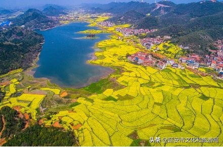 鏁伴娴佷汉鐗╃湅浠婃湞绱犳潗,鏁伴娴佷汉鐗╃湅鍘嗗彶娌夋诞