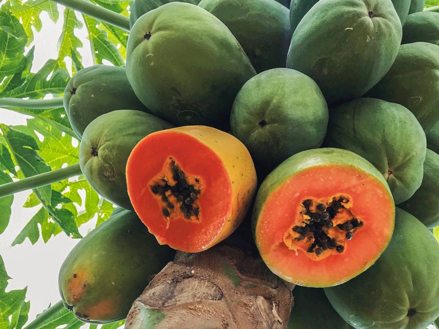 熊果苷美白淡斑水乳怎么样,熊果苷焕亮