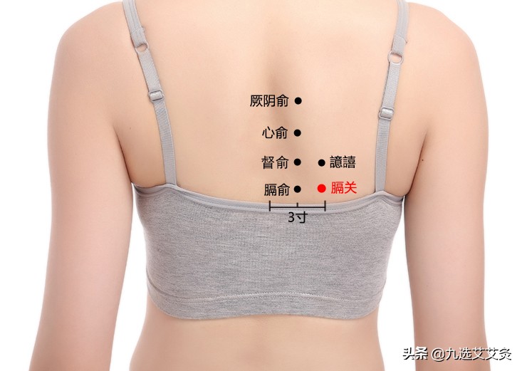 膈俞穴和膈关穴位置,膈关穴的准确位置图与功效