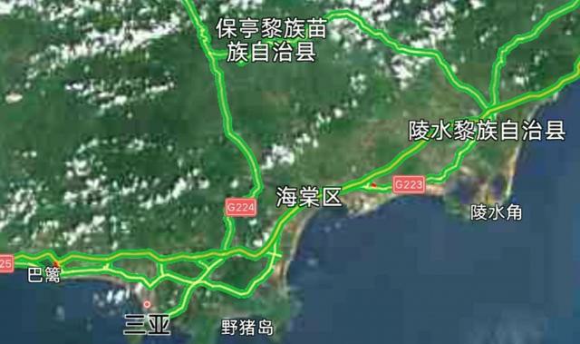 黄头侧颈龟到底能不能养,养黄头侧颈龟适合造景么