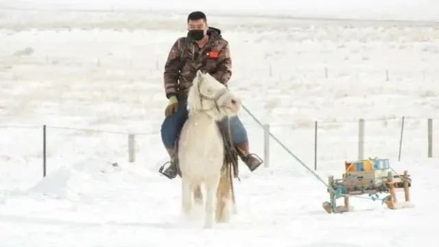 马背上的“代购员”真帅