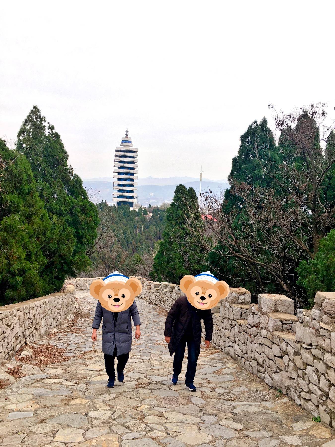 随身无线wifi三网通不限流量,免插卡三网通随身wifi领流量