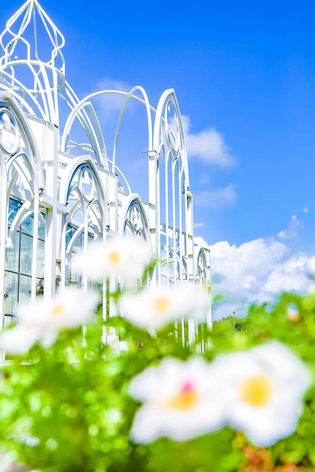 青岛胶南红树林旅游景点,西海岸红树林度假世界