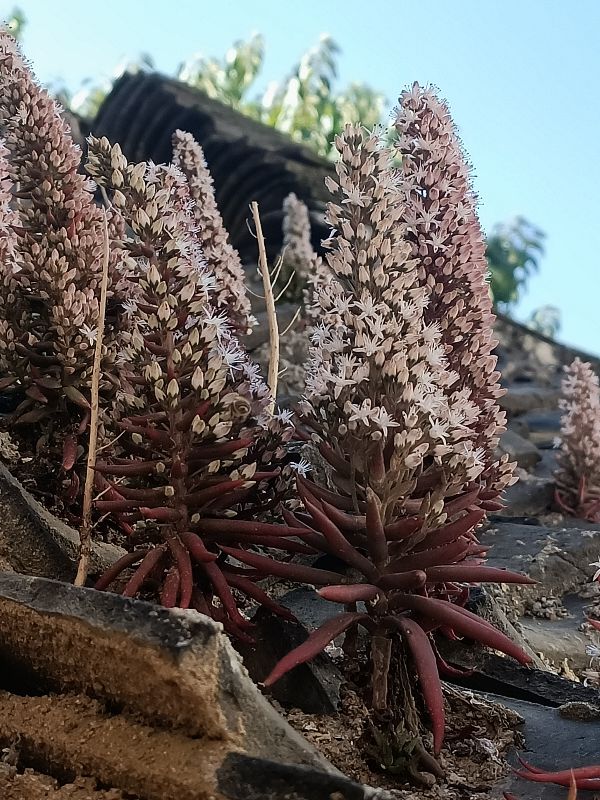 随笔惊艳风景,随笔美好的一瞬间