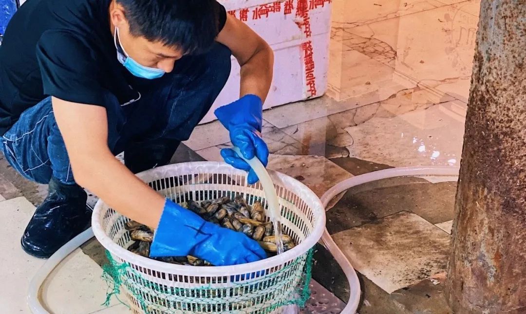 朝阳区海鲜市场,北京朝阳区海鲜市场