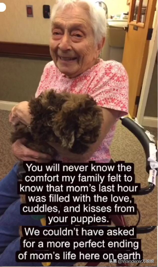 93岁奶奶恶搞27岁孙子一夜爆红！1300万网友实力围观：奶奶太坑了