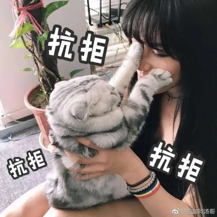 铲屎官请自重图,铲屎官请自重