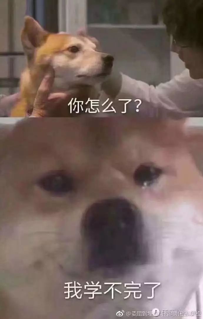 学生爆笑表情包,大学生打招呼幽默表情包