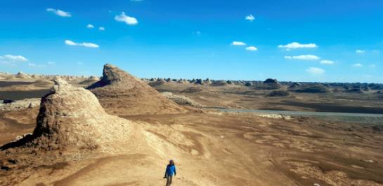 华东师范大学的王牌专业,华东师范大学前四的王牌专业