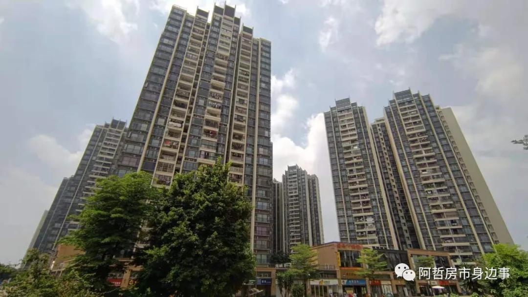 坦尾花语水岸,坦尾地铁站附近的楼盘