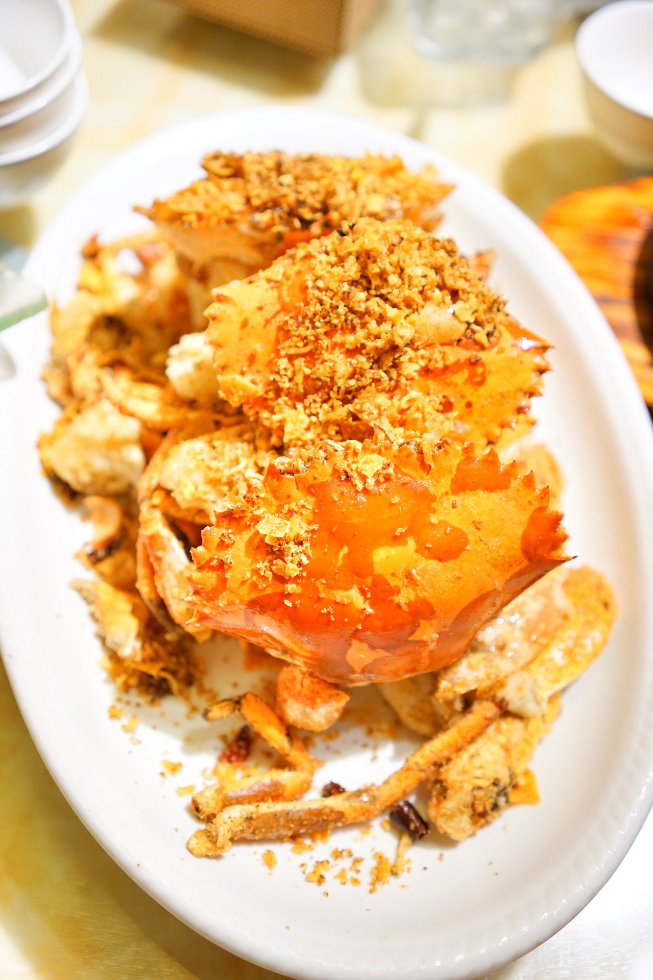 一定是特别的缘分——帕劳，再遇见「周若雪Patty」·上