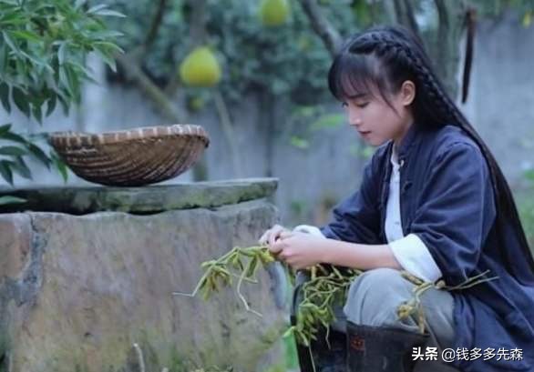 *今条头日**副业的N种玩法，图文、视频、专栏、带货，你我都能行