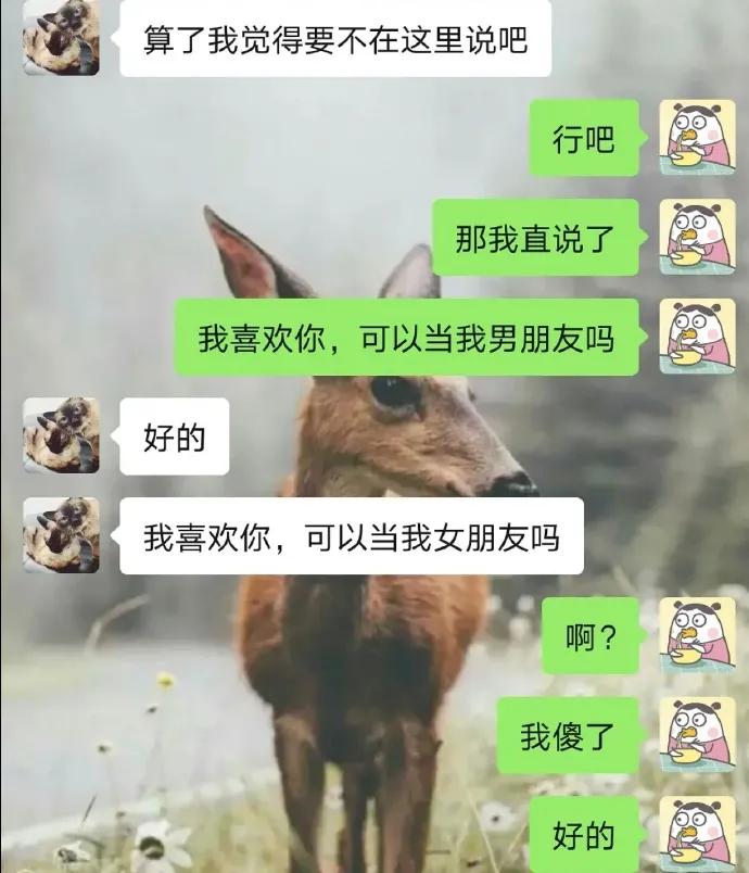 晒出你第1次表白的聊天记录,我准备向我喜欢的人表白聊天记录