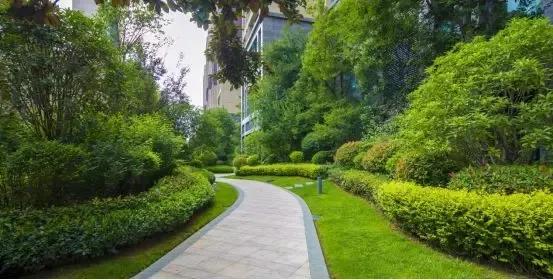 永威在开封已被改善客群所认可,为什么永威上和郡这么厉害