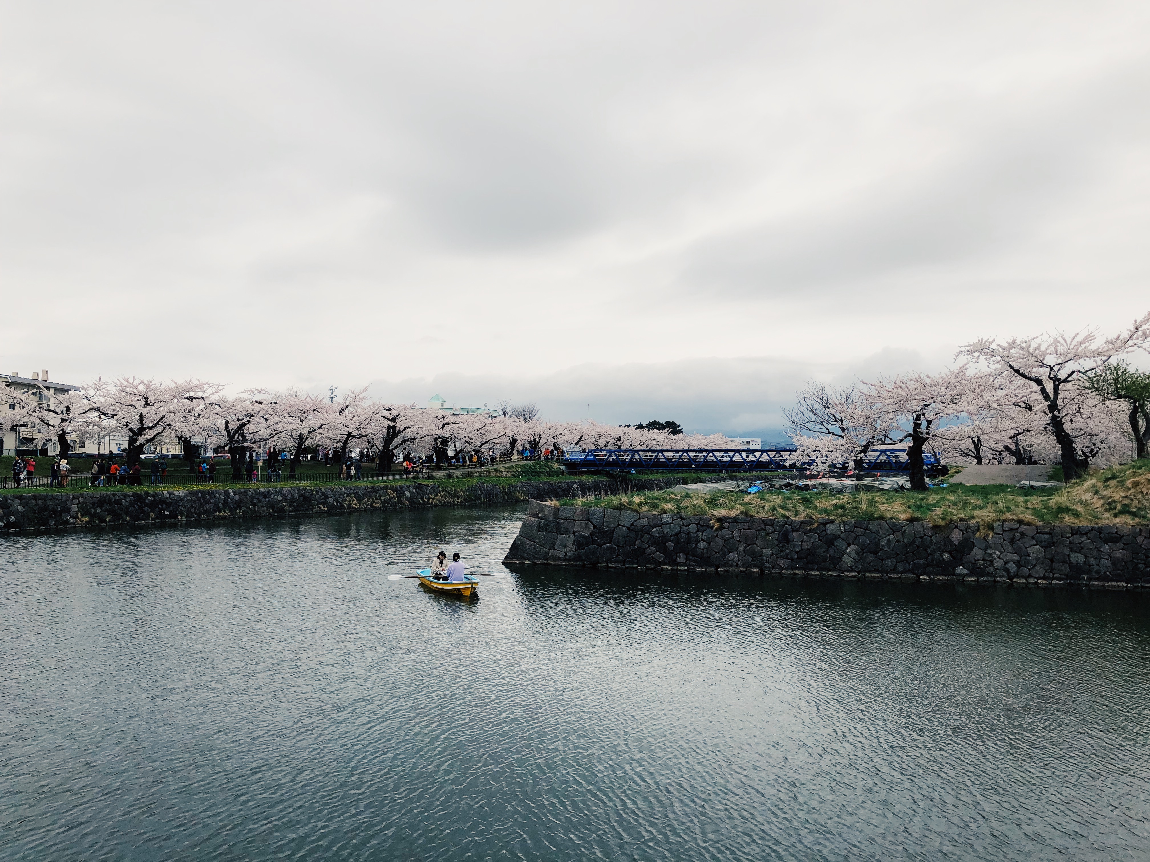 和老人小孩一起旅游,八天七晚豪华游轮旅游