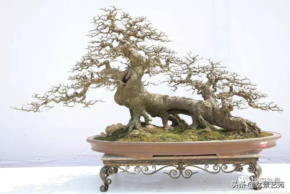 鏈存爲寰楀鐩嗘櫙,椤剁骇鏈存爲鐩嗘櫙娆h祻