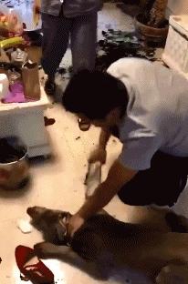 山海经中以乳为目以脐为口的怪物,山海经搞笑图片