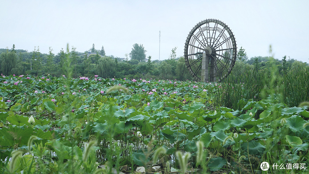 徕卡leicad-lux7相机测评,徕卡leicad-lux5测评