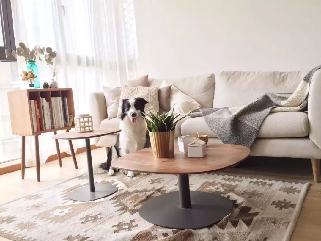 澶湁鐖变簡瀹屾暣瑙嗛,澶湁鐖变簡鍏ㄦ枃闃呰