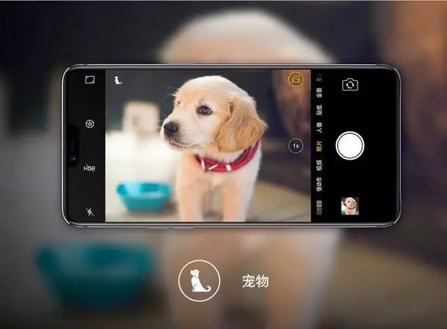 不想成为互联网文盲？这些短视频拍摄参数技巧不容错过