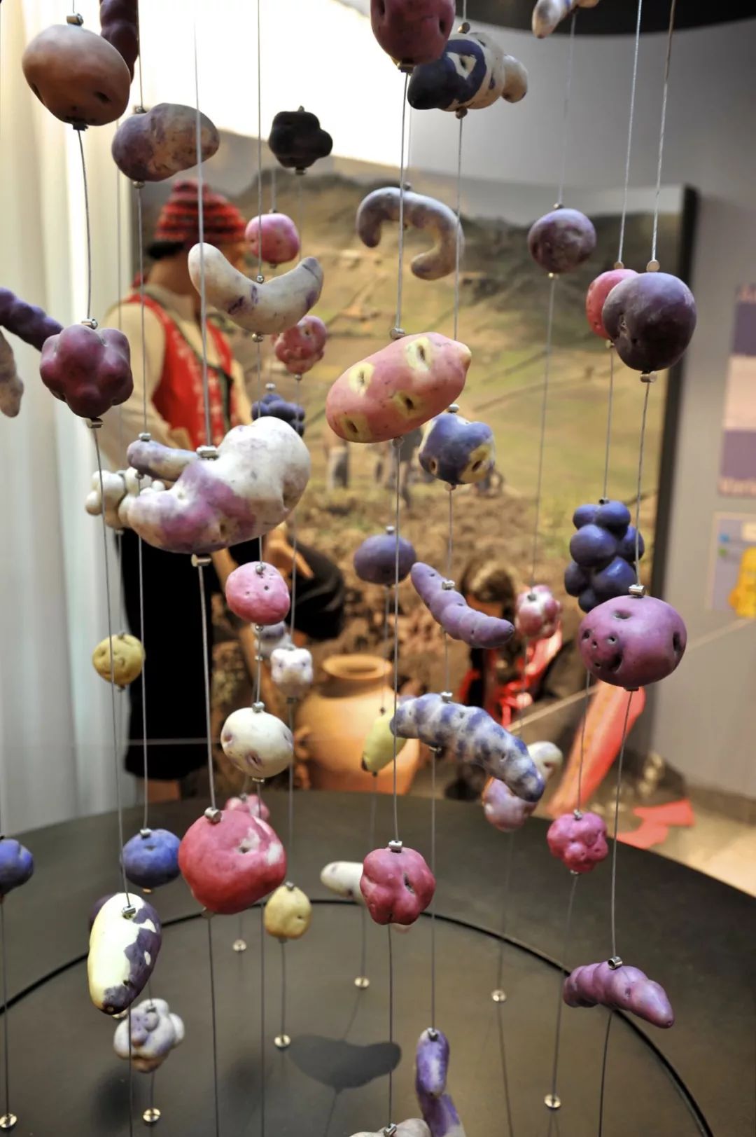 趣味博物馆你最爱哪一个,世界著名博物馆纵览图高清