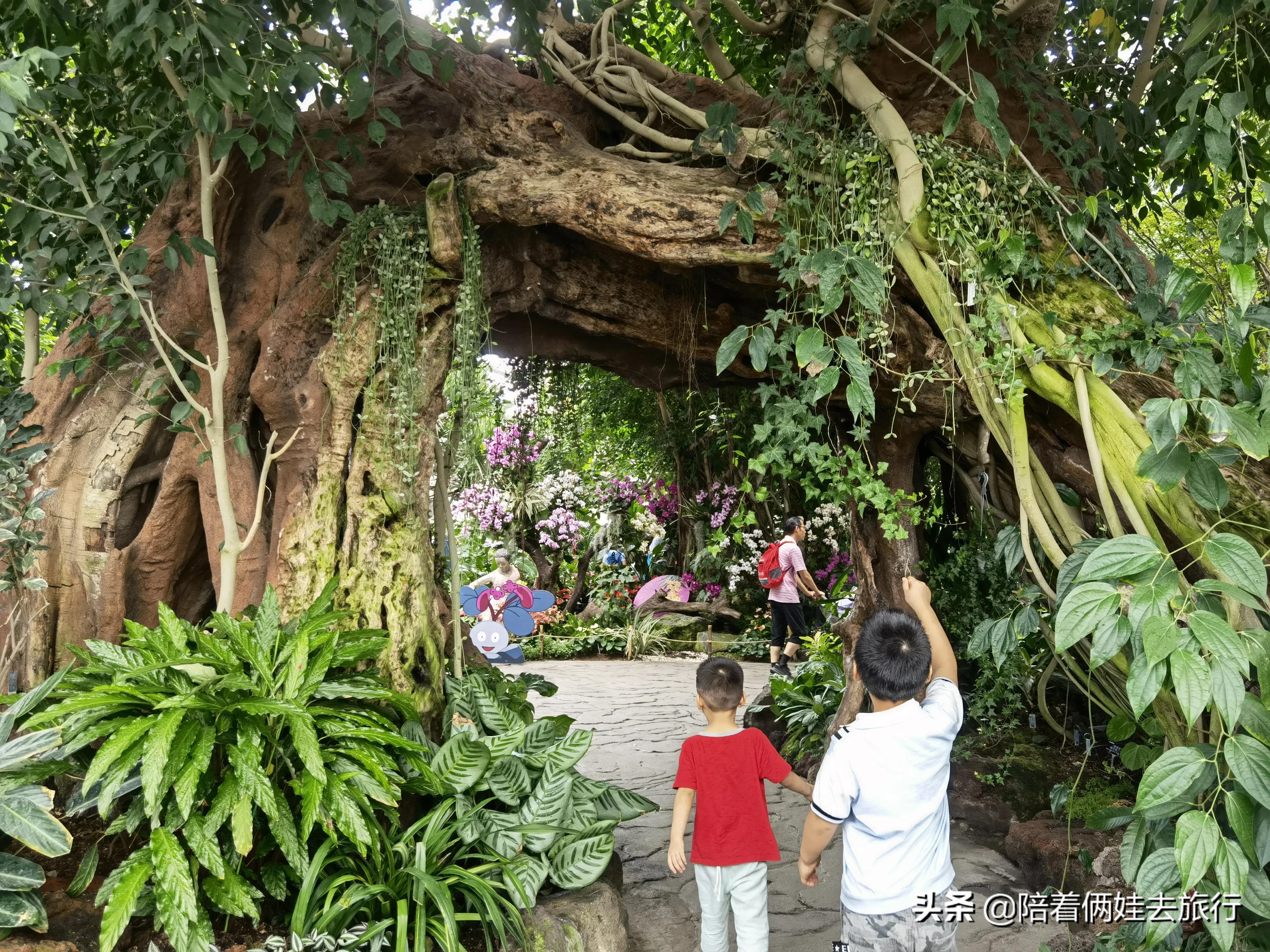 上海辰山植物园矿坑花园,辰山植物园矿坑花园修好了吗