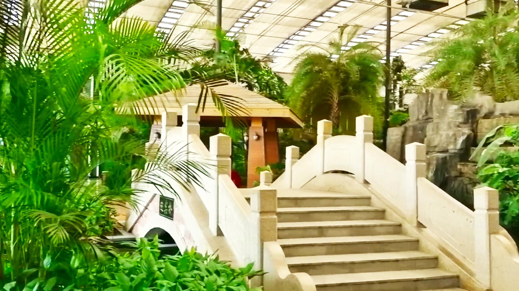 穿溜冰鞋上菜的服务员,穿溜冰鞋上菜