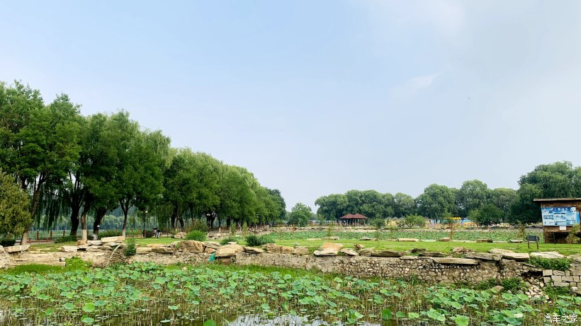 海淀区稻香湖景酒店,北京海淀稻香湖景酒店夜景