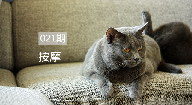 给猫咪按摩的重要性,给猫按摩对猫有好处吗