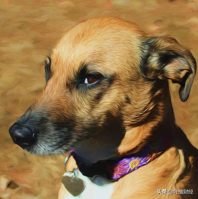 警惕FaceTime诈骗,警惕facetime诈骗案件