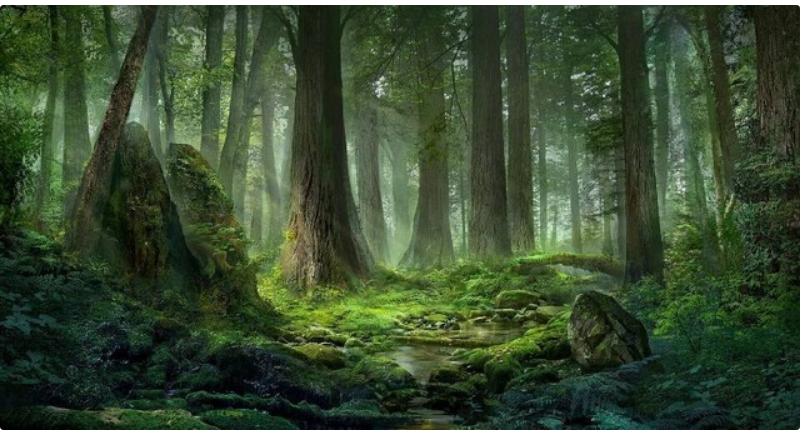 农村遇到了黄鼠狼怎么办,农村怎么对付黄鼠狼