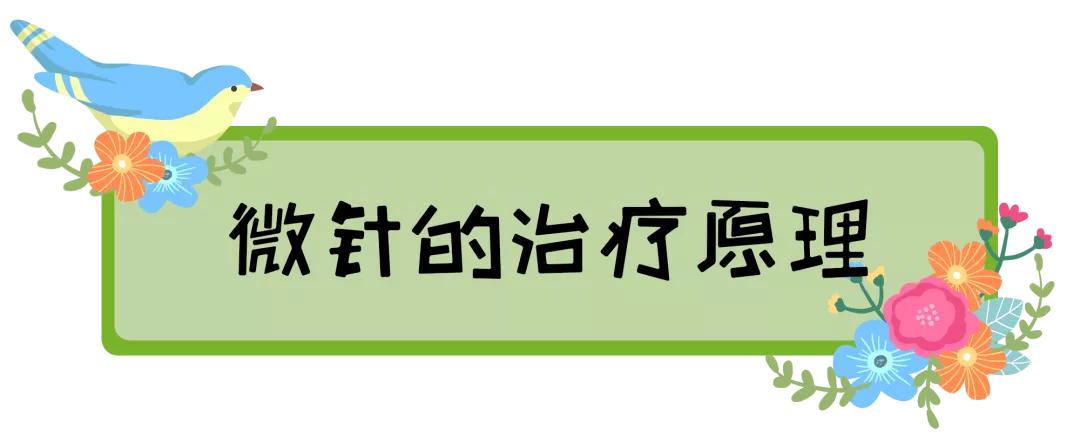 先破后立原理的美容仪有哪些,微针一般治疗以后多久恢复