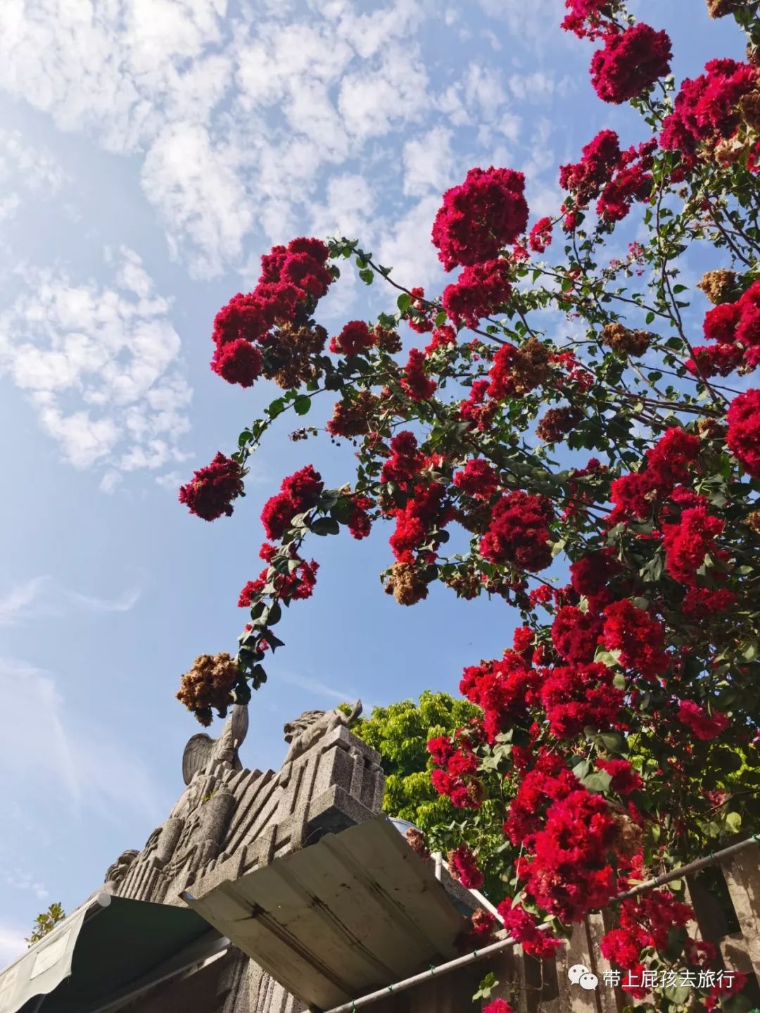 等疫情过后我想去日本旅游,等疫情过后我想旅游
