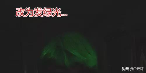 千万不要随便染头,千万别随便染头发