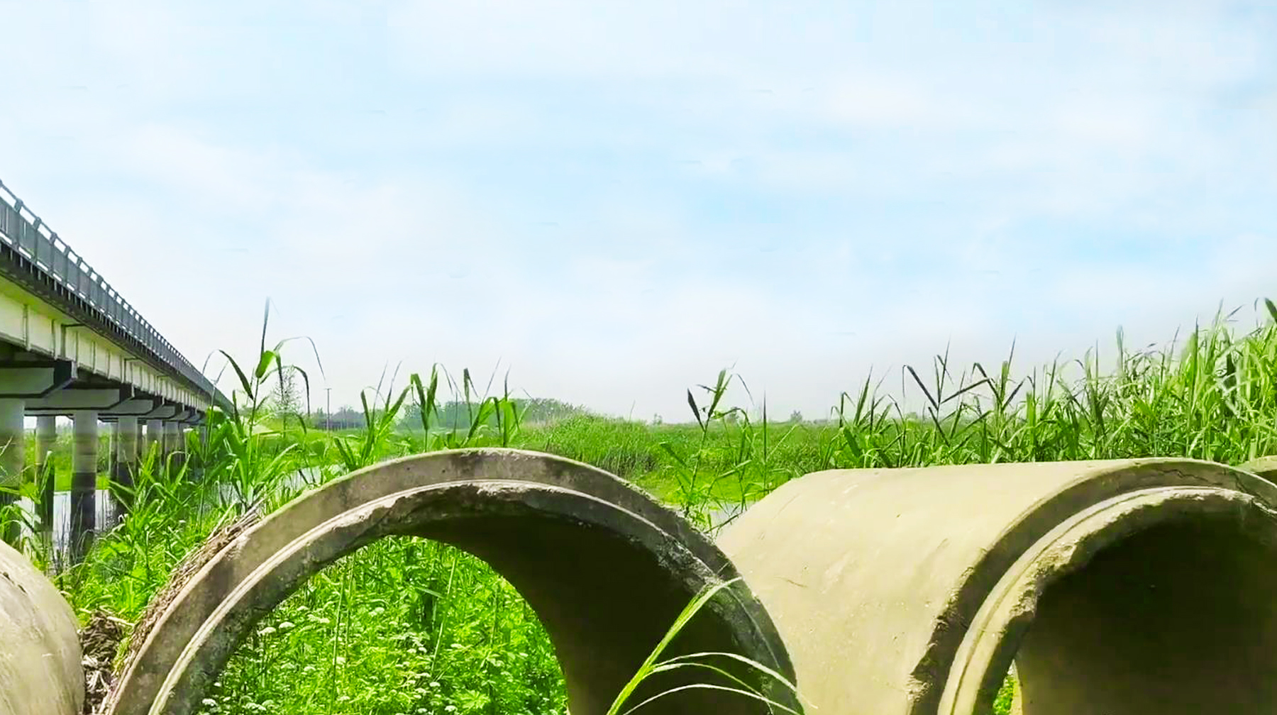 绿水蓝天青草地,打卡湖北武汉郊区黄丝河,宛若油画里的场景