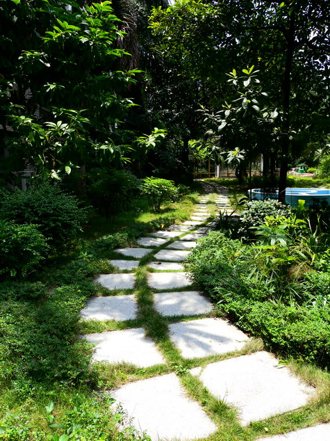 肇庆学校游玩,肇庆学院校园风景照片