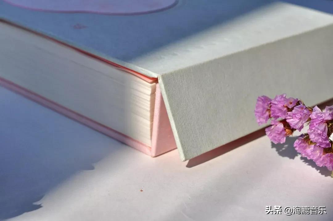 红楼梦绘画图集珍藏版,最有收藏价值的红楼梦作品