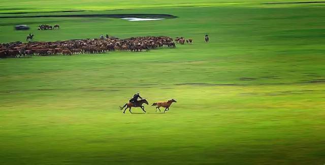 十大最好的自驾游地方,最适合自驾游的十个地方